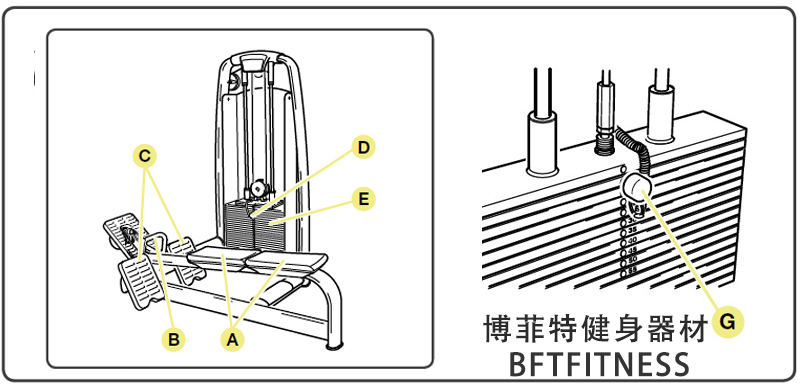 坐姿划船美女叼嘿网站