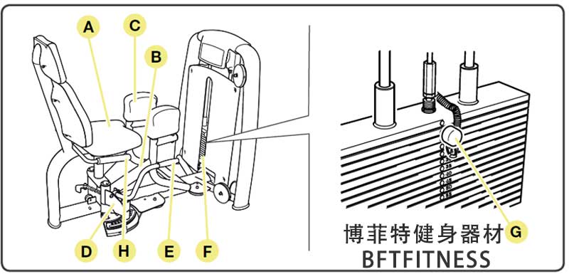 大腿外展外侧肌美女叼嘿网站