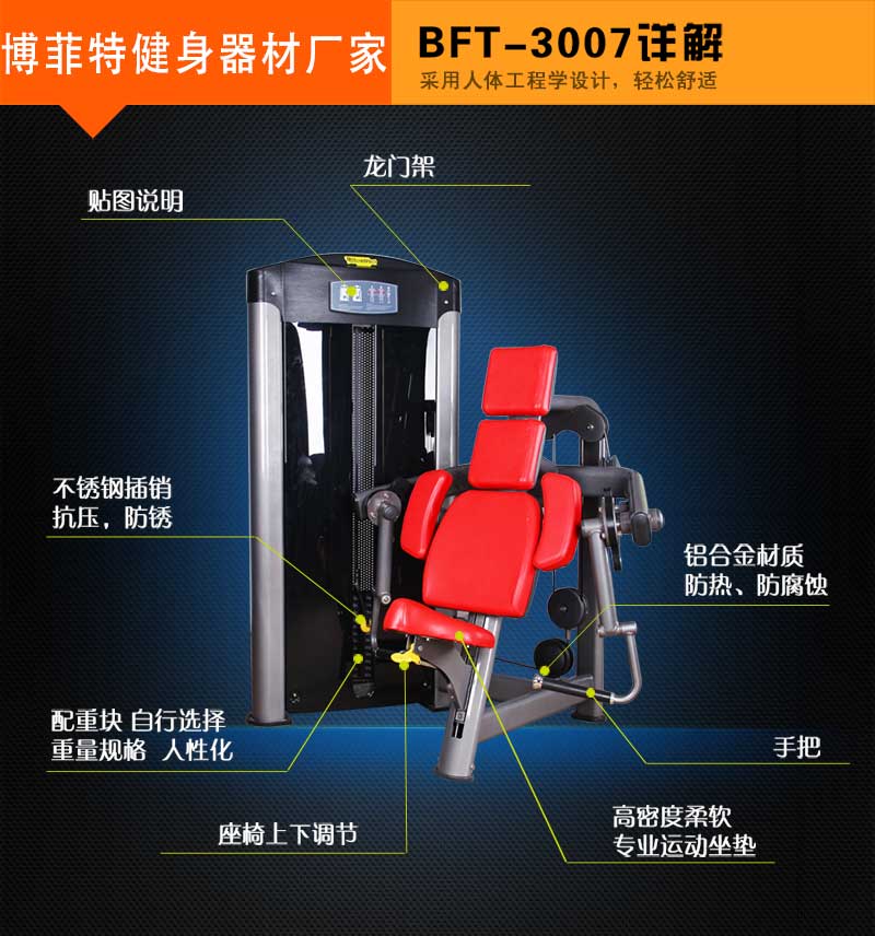 坐姿二头肌美女叼嘿网站